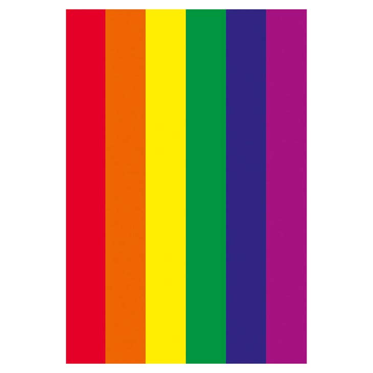 Rainbow Flag Fridge Magnet