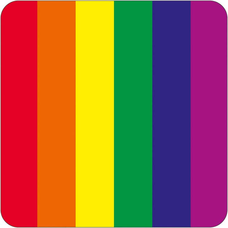 LGBTQ+ Pride Rainbow Coaster