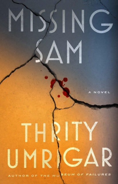 Missing Sam : A Novel