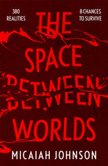 The Space Between Worlds